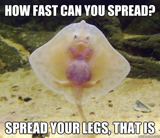 How fast can you spread? Spread your legs, that is  