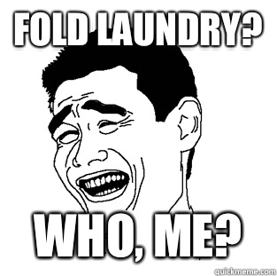 Fold laundry? Who, me?  Meme