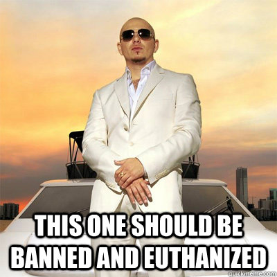  this one should be banned and euthanized  Pitbull