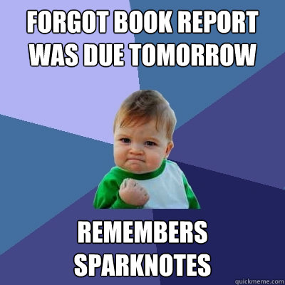 forgot book report was due tomorrow  remembers sparknotes  Success Kid