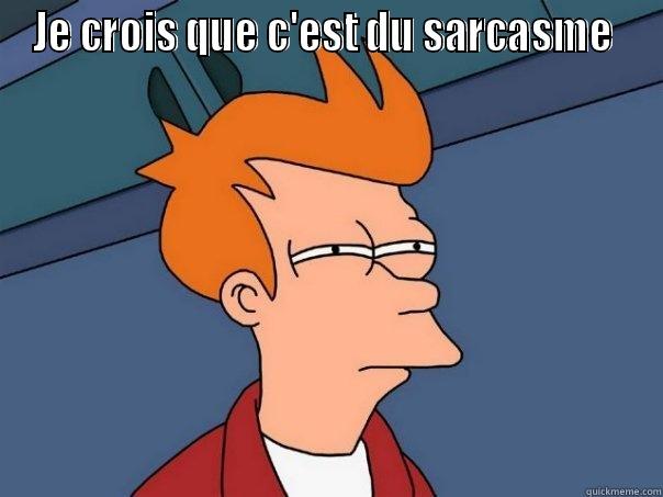 sarcasme & ironie - JE CROIS QUE C'EST DU SARCASME   Futurama Fry