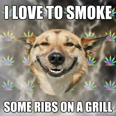 I love to smoke some ribs on a grill  Stoner Dog