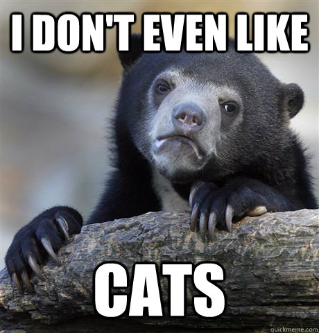 I don't even like cats  Confession Bear