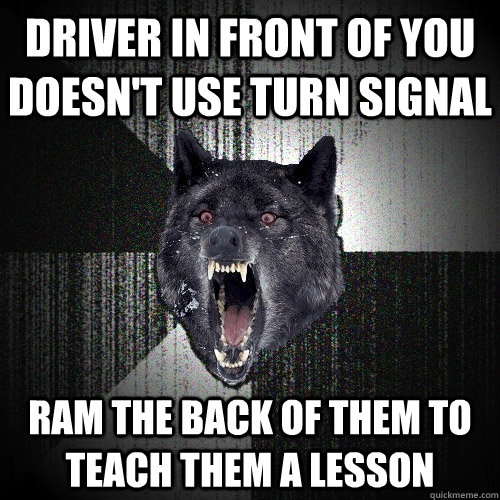 Driver in front of you doesn't use turn signal Ram the back of them to teach them a lesson  Insanity Wolf