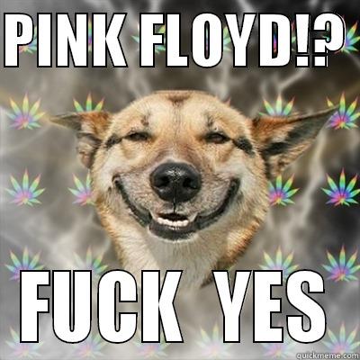 PINK FLOYD!?  FUCK  YES Stoner Dog