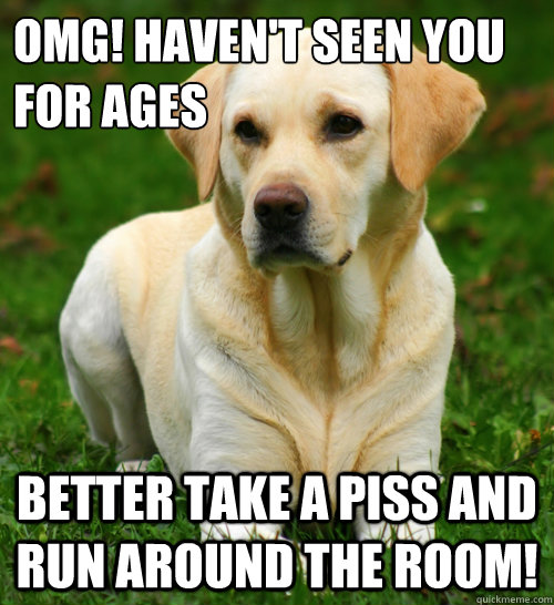 omg! haven't seen you for ages Better take a piss and run around the room!  Dog Logic