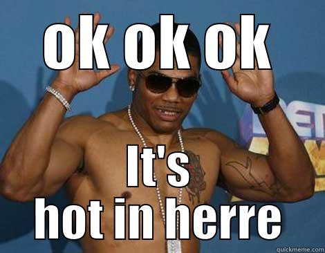 nelly got - OK OK OK IT'S HOT IN HERRE Misc