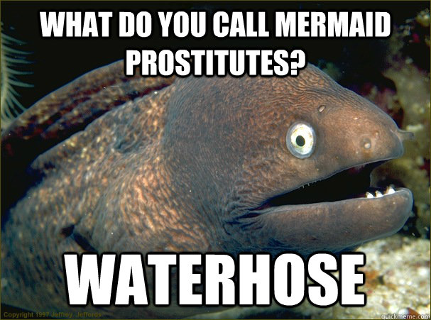 What do you call mermaid prostitutes? Waterhose  Bad Joke Eel