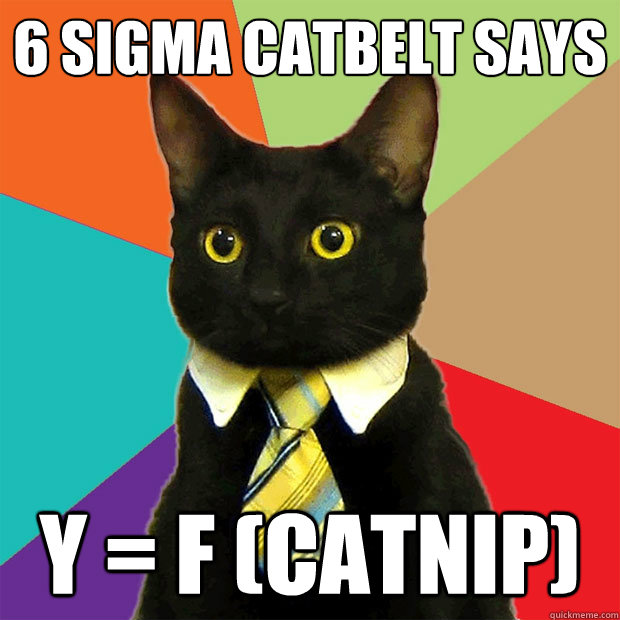 6 sigma catbelt says y = F (catnip)  Business Cat