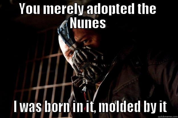 YOU MERELY ADOPTED THE NUNES   I WAS BORN IN IT, MOLDED BY IT Angry Bane