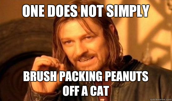 One Does Not Simply Brush packing peanuts 
off a cat  Boromir