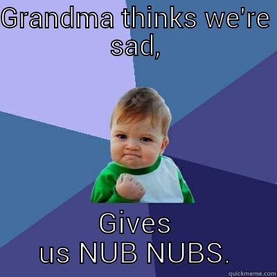 Giving us nub nubs! - GRANDMA THINKS WE'RE SAD, GIVES US NUB NUBS. Success Kid