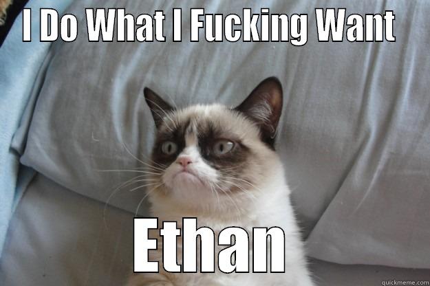 I DO WHAT I FUCKING WANT  ETHAN Grumpy Cat