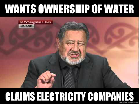 wants ownership of water claims electricity companies  Maori Rhetoric