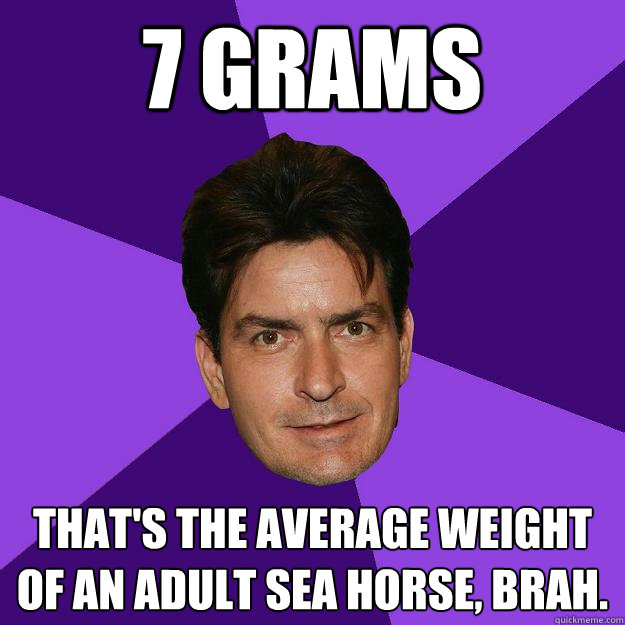 7 grams that's the average weight of an adult sea horse, brah.  Clean Sheen