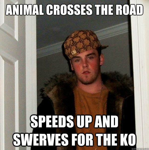 Animal crosses the road Speeds up and swerves for the KO  Scumbag Steve