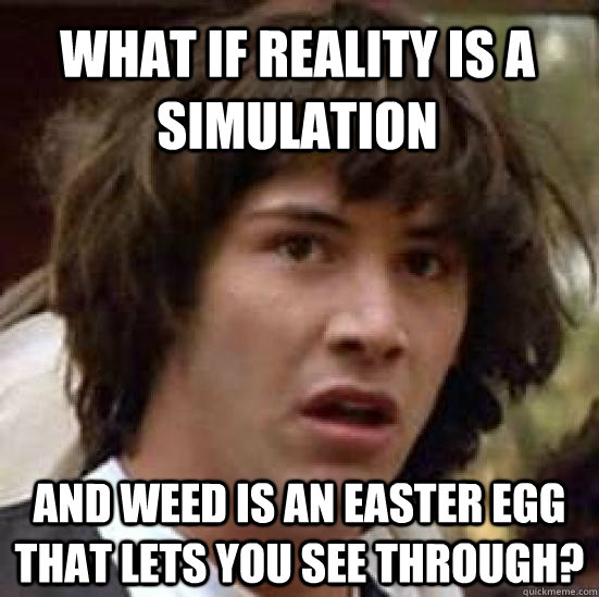 what if reality is a simulation and weed is an easter egg that lets you see through? - what if reality is a simulation and weed is an easter egg that lets you see through?  conspiracy keanu