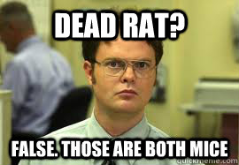 Dead rat? FALSE. those are both mice  Dwight False