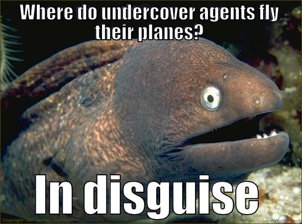 WHERE DO UNDERCOVER AGENTS FLY THEIR PLANES? IN DISGUISE Bad Joke Eel