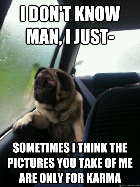 I don't know man, I just- Sometimes I think the pictures you take of me are only for karma  Introspective Pug