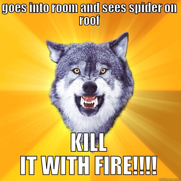 GOES INTO ROOM AND SEES SPIDER ON ROOF KILL IT WITH FIRE!!!! Courage Wolf