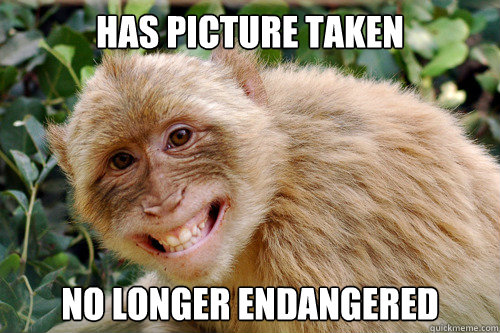 Has Picture Taken No Longer Endangered  