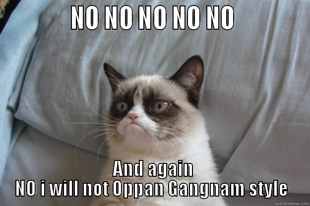             NO NO NO NO NO             AND AGAIN NO I WILL NOT OPPAN GANGNAM STYLE  Grumpy Cat