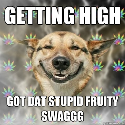 getting high got dat stupid fruity swaggg  Stoner Dog