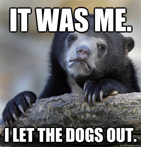 it was me. i let the dogs out.  Confession Bear