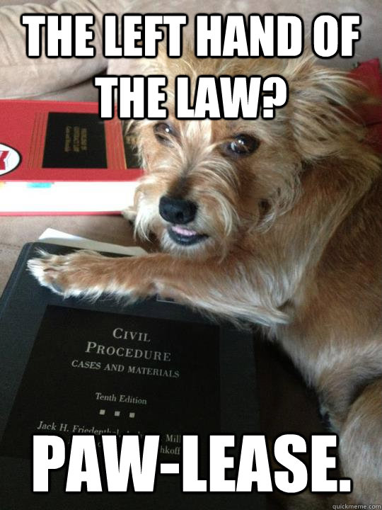 The left hand of the law? Paw-lease.  Law Dog