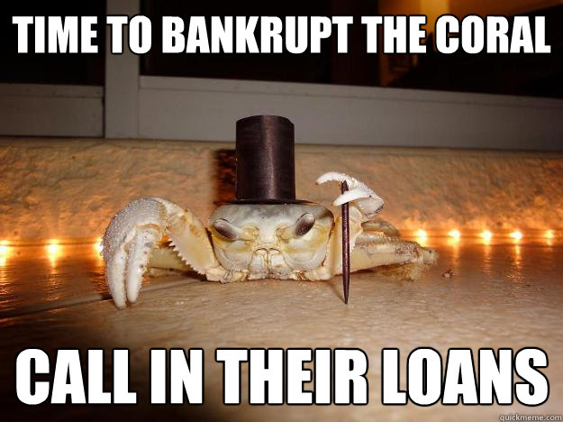 time to bankrupt the coral call in their loans  Fancy Crab