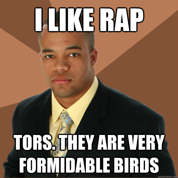 i like rap tors. they are very formidable birds - i like rap tors. they are very formidable birds  Successful Black Man