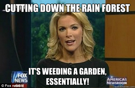 Cutting down the rain forest It's weeding a garden,
Essentially!  Megyn Kelly