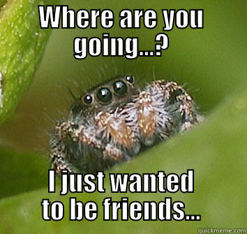 WHERE ARE YOU GOING...? I JUST WANTED TO BE FRIENDS... Misunderstood Spider