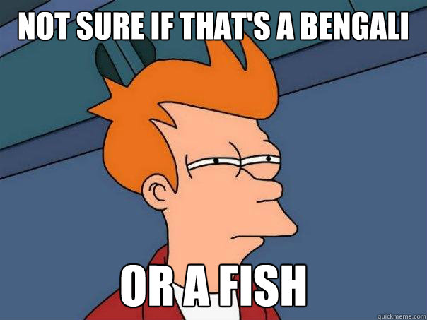 Not sure if that's a bengali Or a fish  Futurama Fry