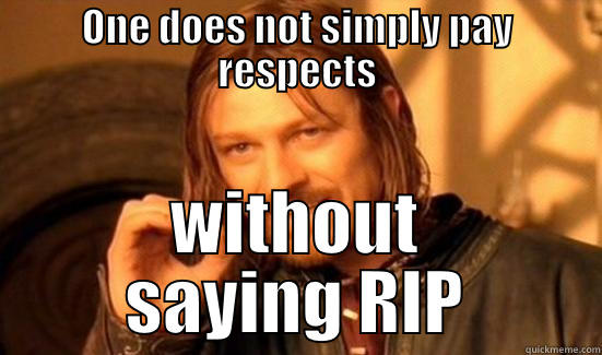 ONE DOES NOT SIMPLY PAY RESPECTS WITHOUT SAYING RIP Boromir