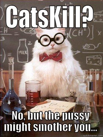 CATSKILL? NO, BUT THE PUSSY MIGHT SMOTHER YOU... Chemistry Cat