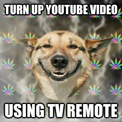 Turn up Youtube video  using TV remote  Stoner Dog