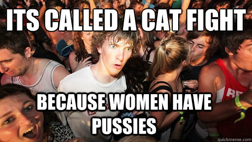 Its called a cat fight because women have pussies  Sudden Clarity Clarence