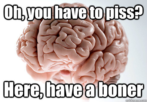 Oh, you have to piss? Here, have a boner  Scumbag Brain