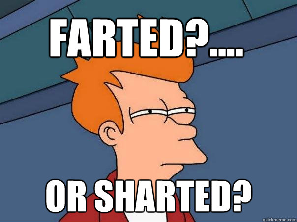 Farted?.... or sharted? - Farted?.... or sharted?  Futurama Fry