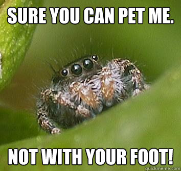 Sure you can pet me. NOT WITH YOUR FOOT! - Sure you can pet me. NOT WITH YOUR FOOT!  Misunderstood Spider