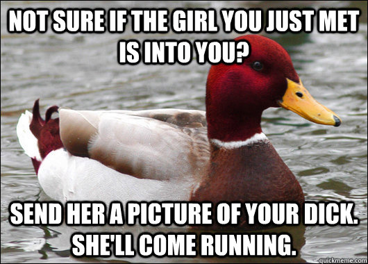 not sure if the girl you just met is into you? send her a picture of your dick.  she'll come running.  Malicious Advice Mallard