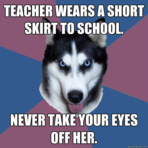 Teacher wears a short skirt to school. Never take your eyes off her.  Creeper Canine