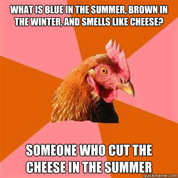 What is blue in the summer, brown in the winter, and smells like cheese? someone who cut the cheese in the summer  Anti-Joke Chicken