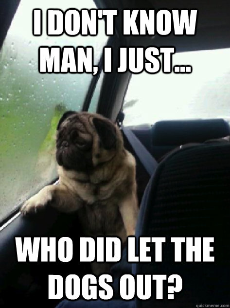 I don't know man, I just... who did let the dogs out?  Introspective Pug