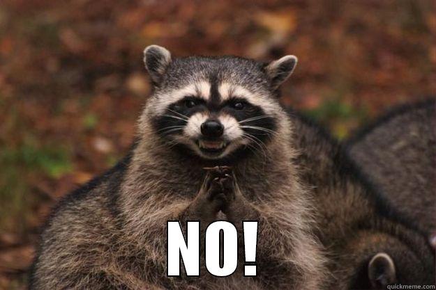  NO! Evil Plotting Raccoon