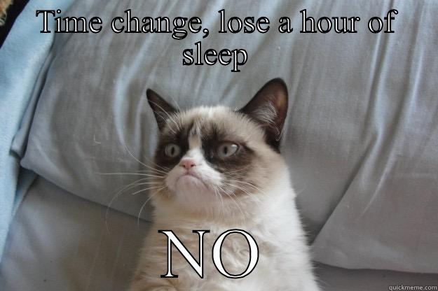 spring forward - TIME CHANGE, LOSE A HOUR OF SLEEP NO Grumpy Cat