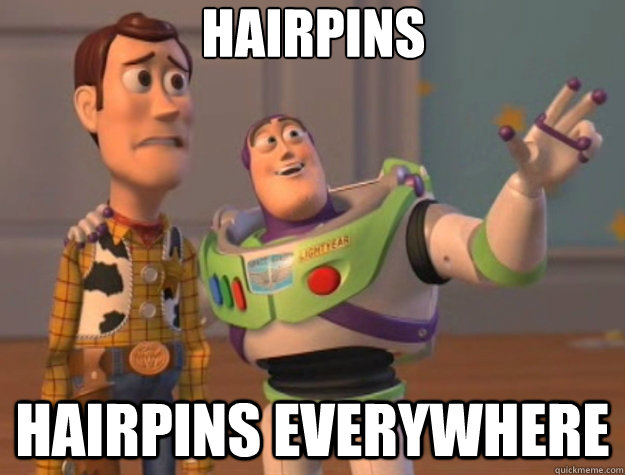 Hairpins Hairpins everywhere - Hairpins Hairpins everywhere  Toy Story