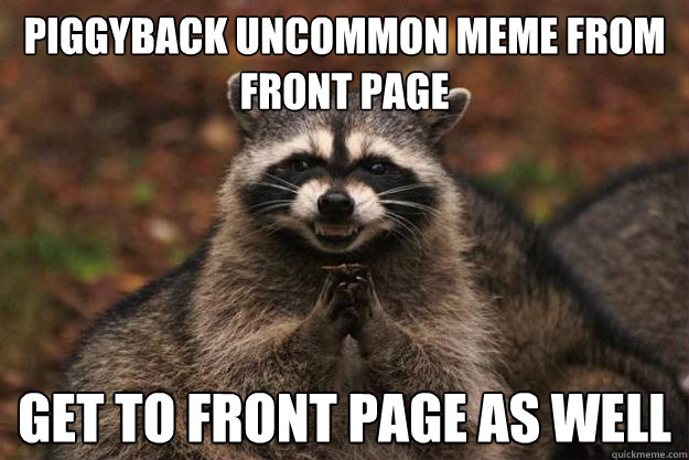 piggyback uncommon meme from front page get to front page as well  - piggyback uncommon meme from front page get to front page as well   Evil Plotting Raccoon